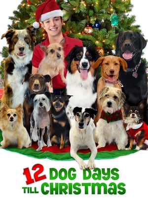 watch 12 Dog Days Till Christmas