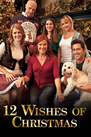 watch 12 Wishes of Christmas