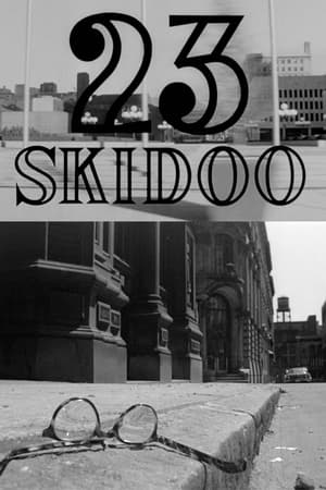 watch 23 Skidoo