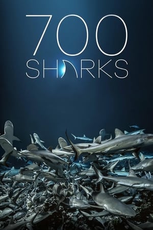 watch 700 Sharks