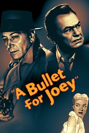 watch A Bullet for Joey