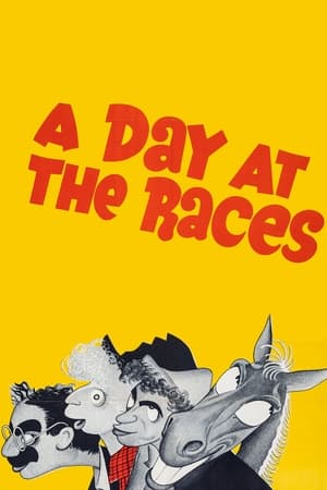 watch A Day at the Races