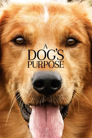 watch A Dog's Purpose