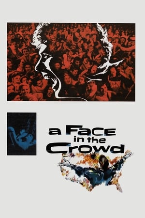 watch A Face in the Crowd