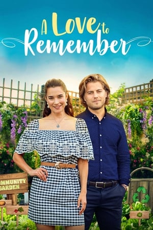 watch A Love to Remember