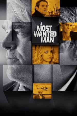 watch A Most Wanted Man