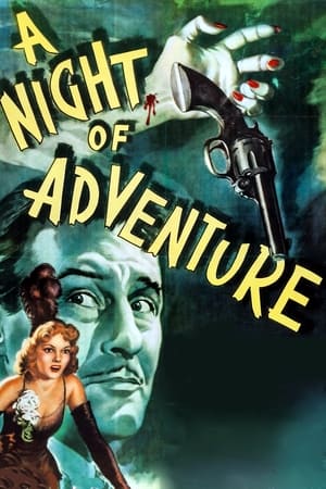 watch A Night of Adventure