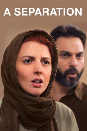 watch A Separation