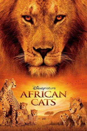 watch African Cats