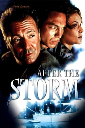 watch After the Storm