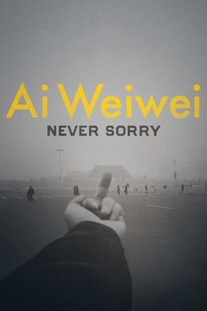 watch Ai Weiwei: Never Sorry