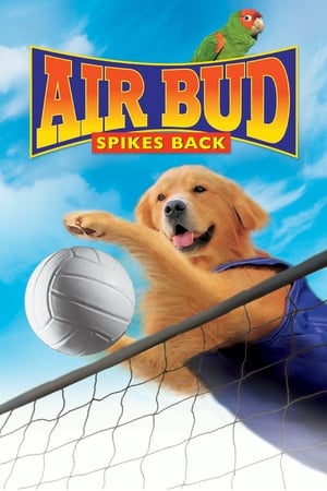 watch Air Bud: Spikes Back