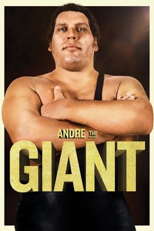 watch Andre the Giant