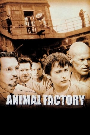 watch Animal Factory