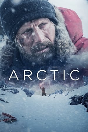 watch Arctic