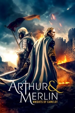 watch Arthur & Merlin: Knights of Camelot