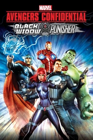 watch Avengers Confidential: Black Widow & Punisher