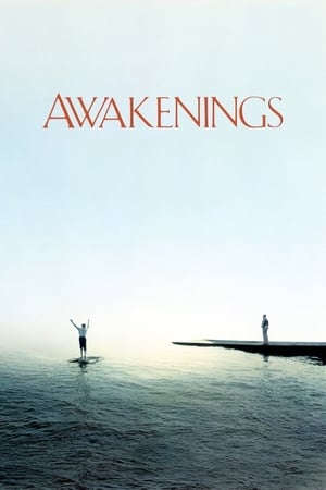 watch Awakenings