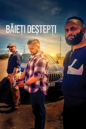 watch Baieti Destepti