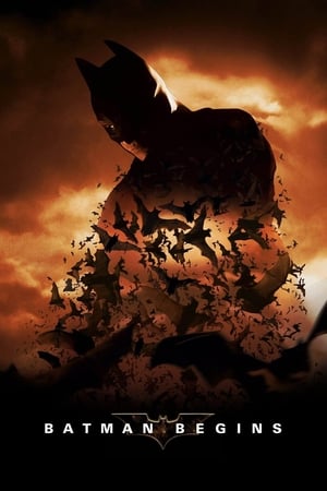 watch Batman Begins