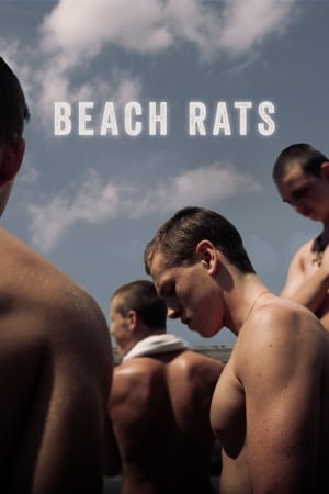 watch Beach Rats