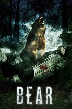 watch Bear