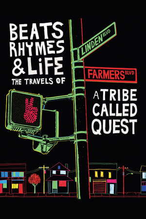 watch Beats Rhymes & Life: The Travels of A Tribe Called Quest