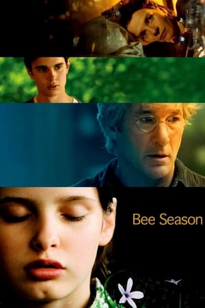 watch Bee Season