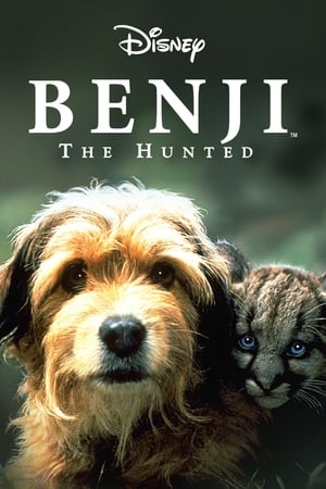 watch Benji the Hunted