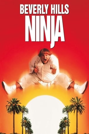 watch Beverly Hills Ninja