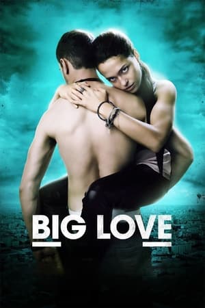 watch Big Love