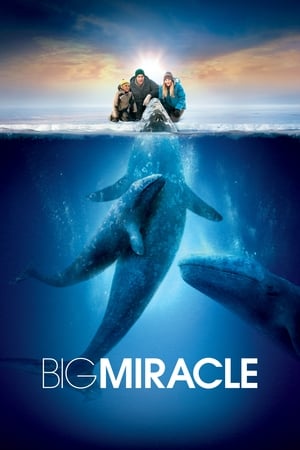 watch Big Miracle