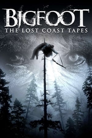 watch Bigfoot: The Lost Coast Tapes