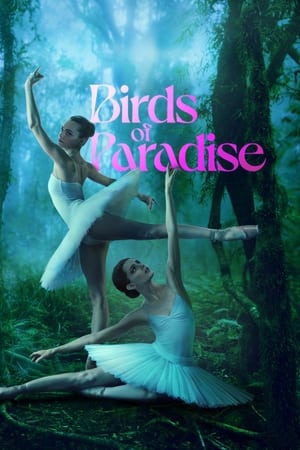 watch Birds of Paradise