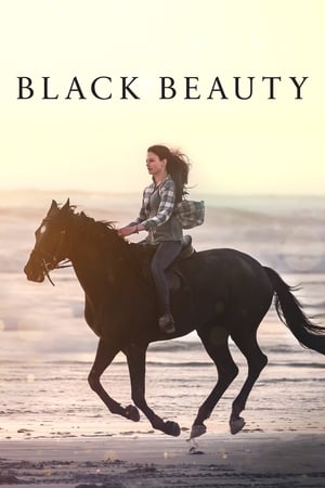 watch Black Beauty