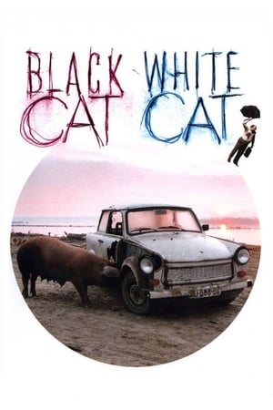 watch Black Cat, White Cat