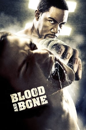 watch Blood and Bone