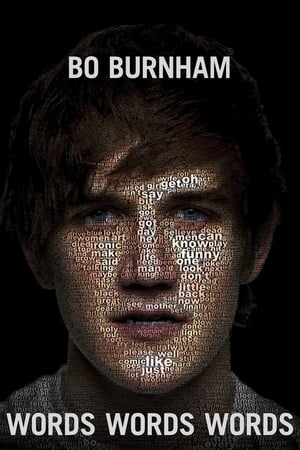 watch Bo Burnham: Words, Words, Words