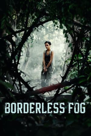 watch Borderless Fog