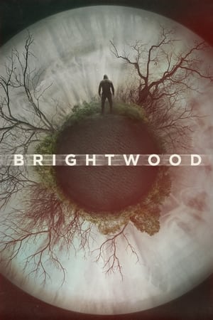 watch Brightwood