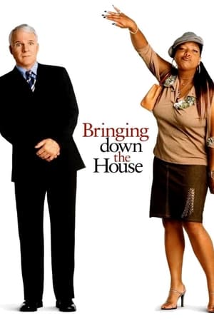 watch Bringing Down the House