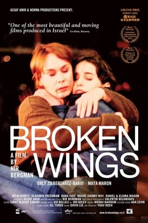 watch Broken Wings