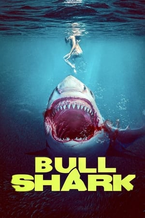 watch Bull Shark