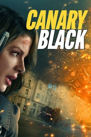 watch Canary Black