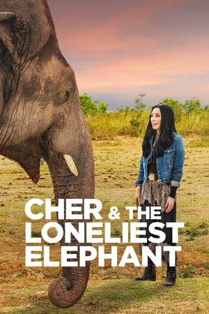 watch Cher & the Loneliest Elephant