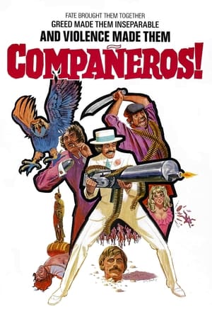 watch Compañeros