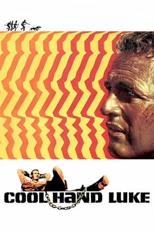 watch Cool Hand Luke