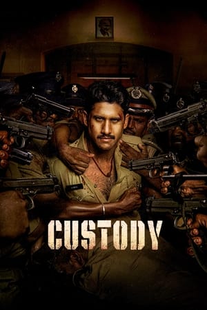 watch Custody