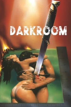 watch Darkroom