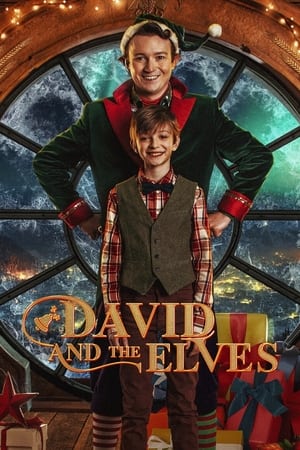 watch David and the Elves